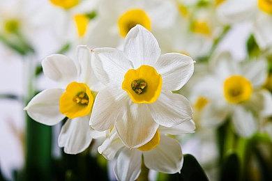 动作游戏《Source of Madness》Steam抢先体验上线